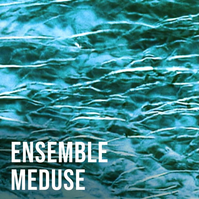ensemble meduse